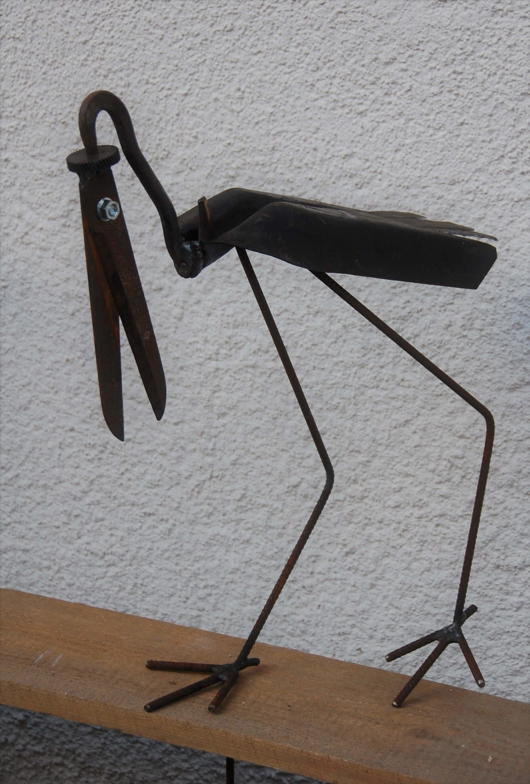 oiseaux d′ici et d′ailleurs 1