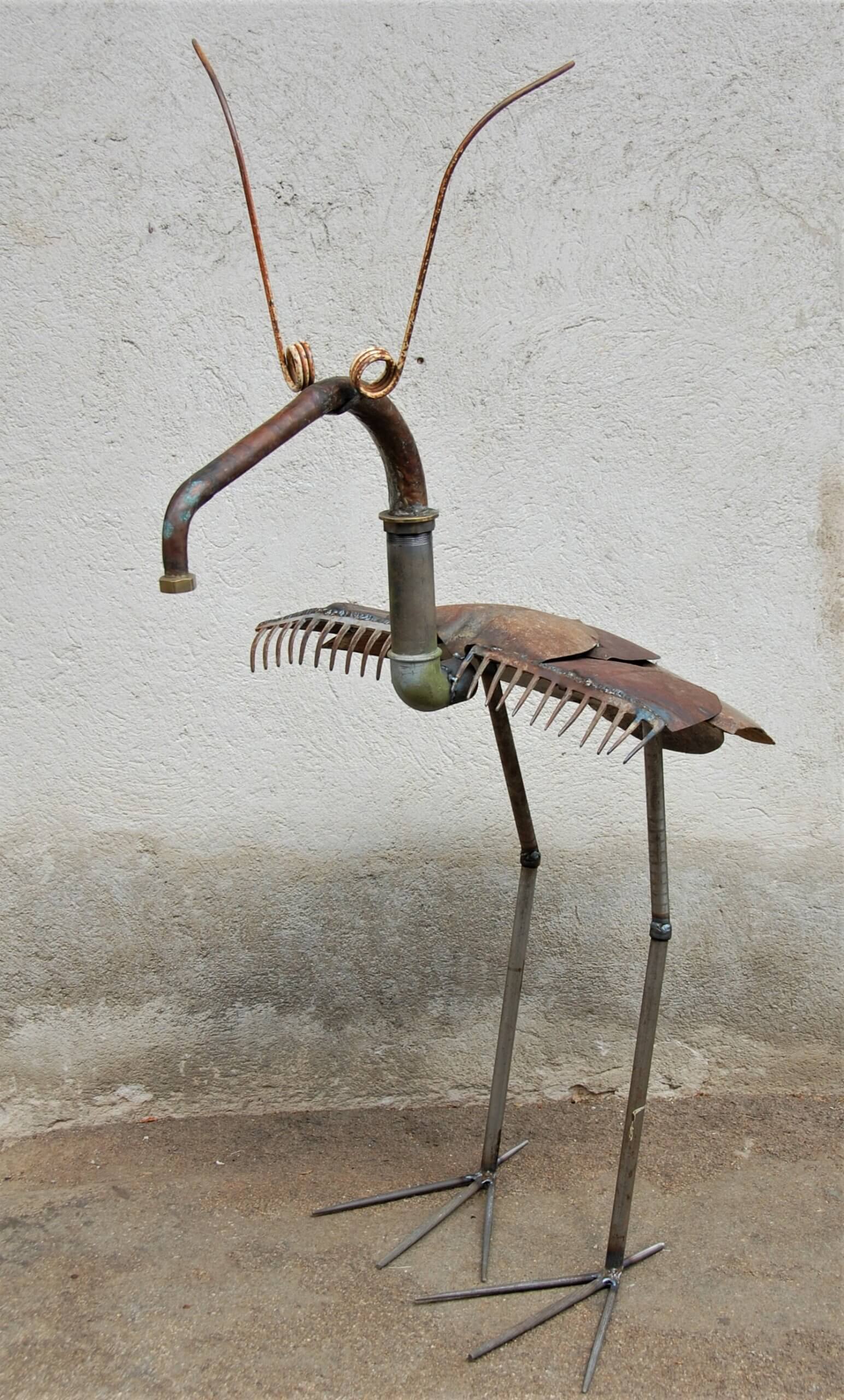 oiseau fourmilier